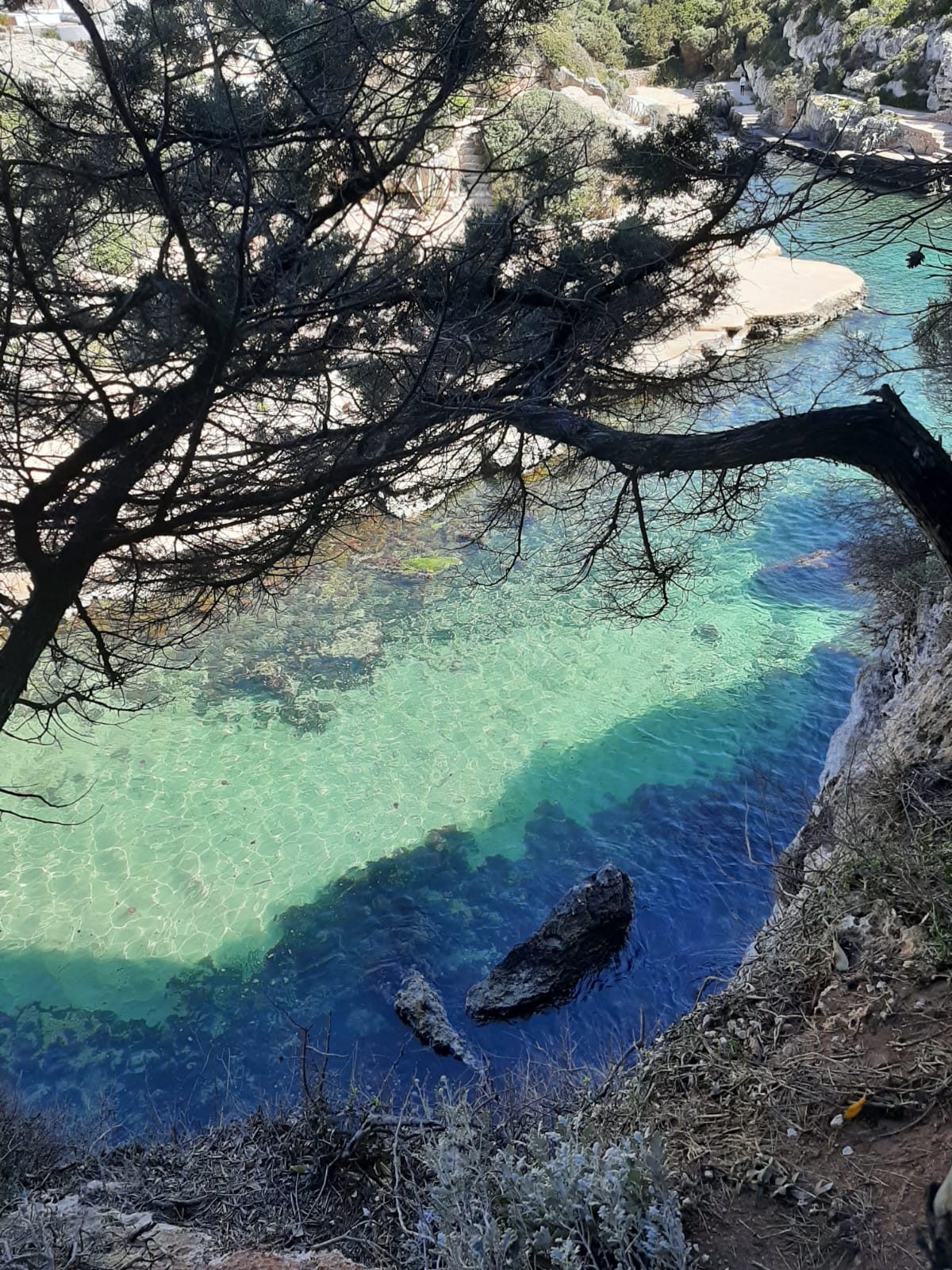 Cala turquesa en Menorca cerca de los apartamentos